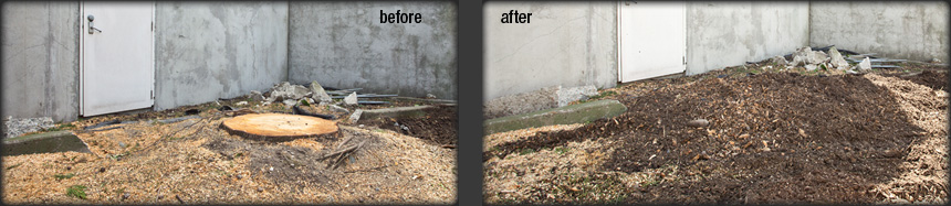 Before and after stump removal - no dump fees
